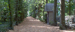 Fietsomgeving Nederland